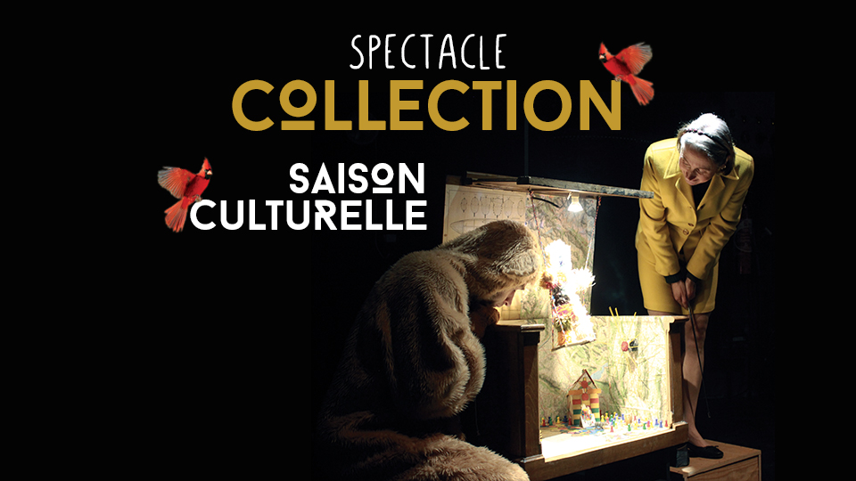 Saison culturelle : “collection”